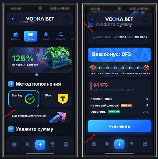 Пополнение баланса в Vodka Casino